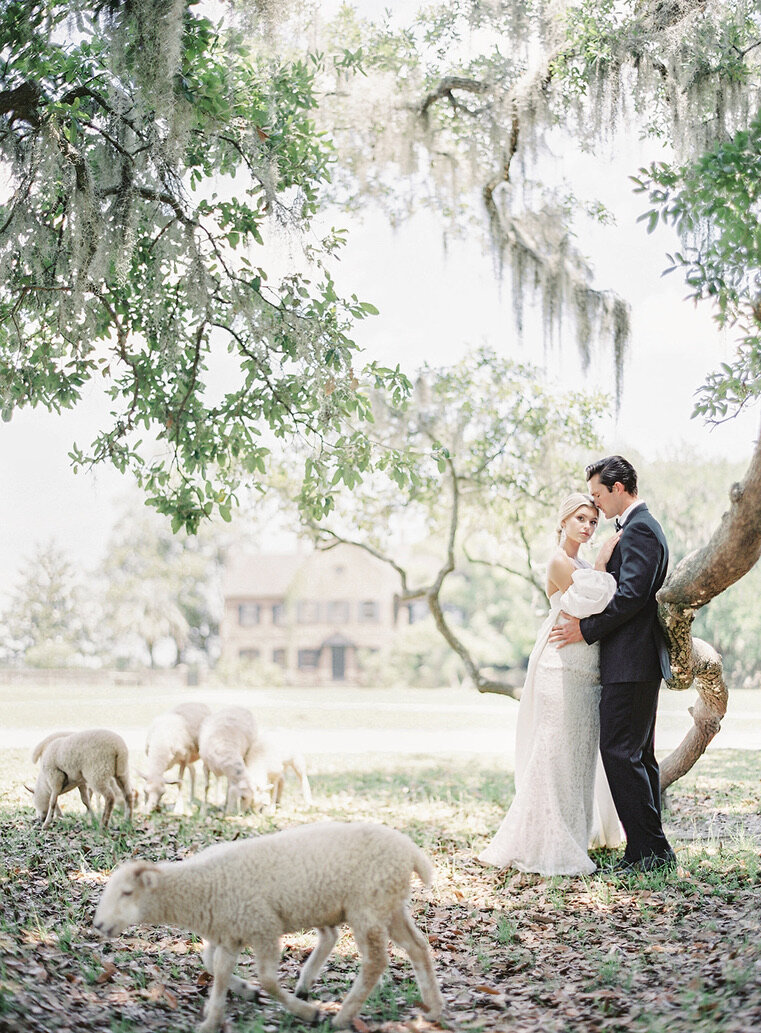 bride-groom-inspiration-sheep.jpg